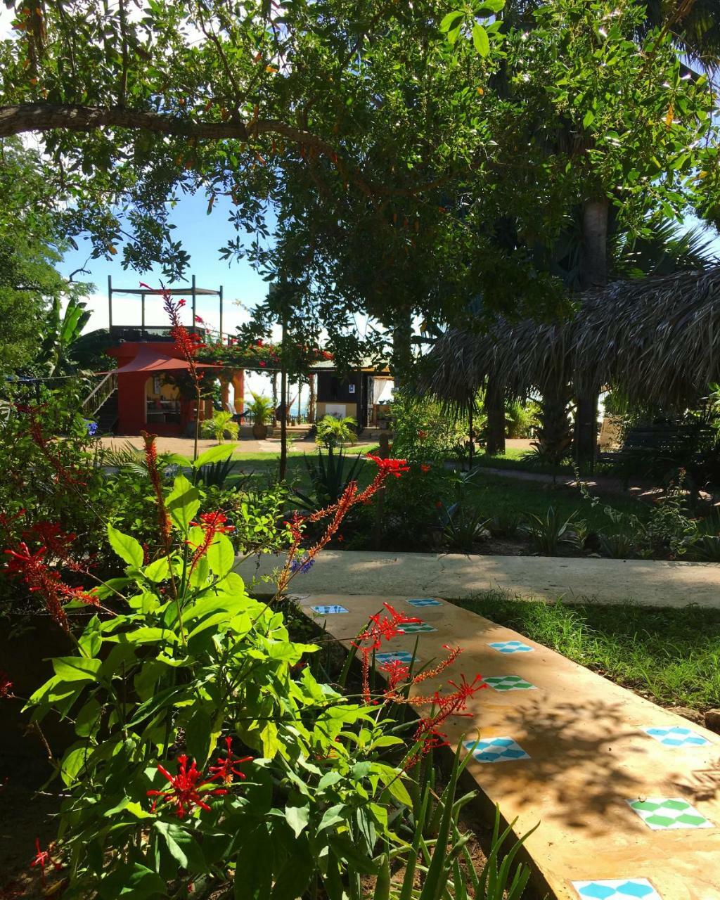 Katamah Beachfront Guesthouse Treasure Beach Eksteriør bilde