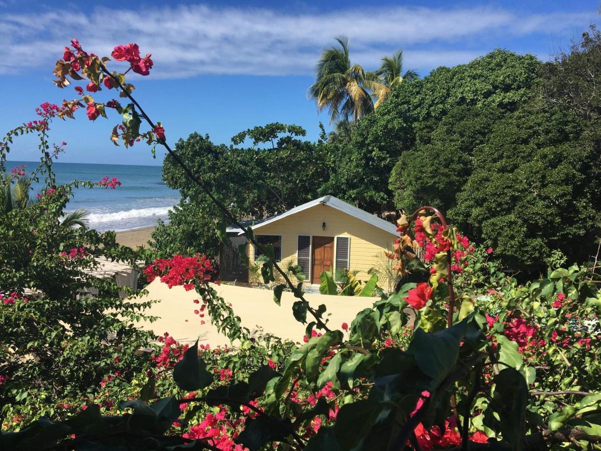 Katamah Beachfront Guesthouse Treasure Beach Eksteriør bilde